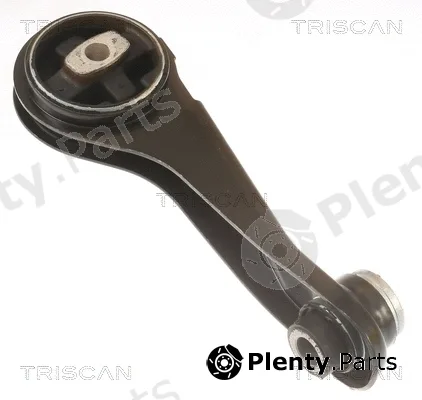 Triscan 850525125 — Mounting, engine