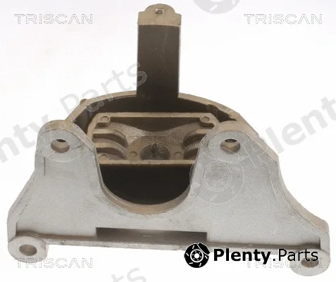 Triscan 850515108 — Mounting, engine
