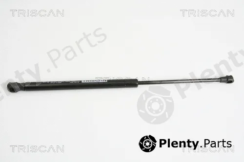 Triscan 871011228 — Gas Spring, boot/cargo area