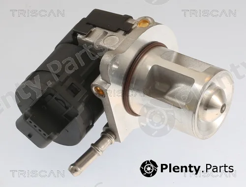 Triscan 881323040 — EGR Valve