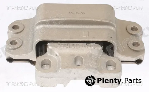 Triscan 850529191 — Mounting, engine