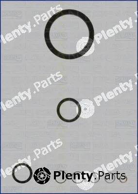 Triscan 595-45100 — Gasket Kit, crankcase