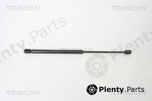 Triscan 871038218 — Gas Spring, boot/cargo area