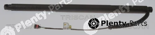 Triscan 871029304 — Gas Spring, boot/cargo area