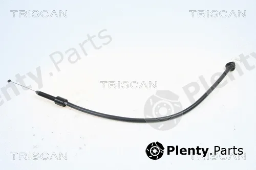 Triscan 814025317 — Accelerator Cable