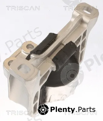 Triscan 850510100 — Mounting, engine