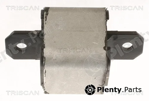 Triscan 850510120 — Mounting, engine
