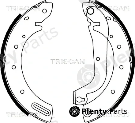 Triscan 810014596 — Brake Shoe Set