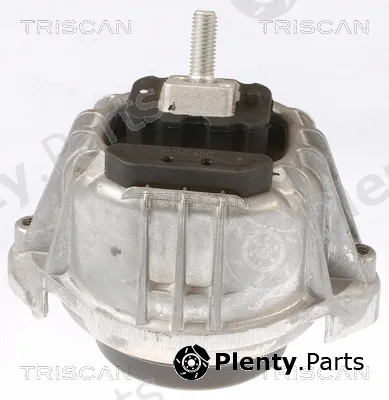 Triscan 850511103 — Mounting, engine