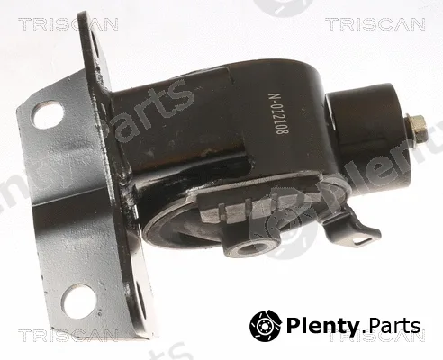 Triscan 850513105 — Mounting, engine