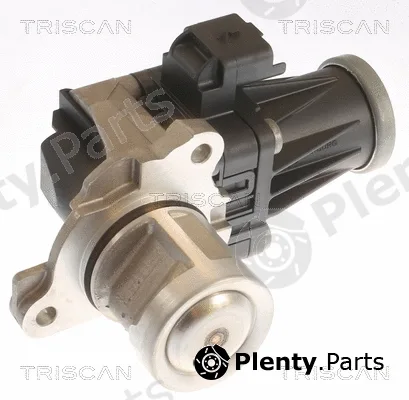Triscan 881310053 — EGR Valve