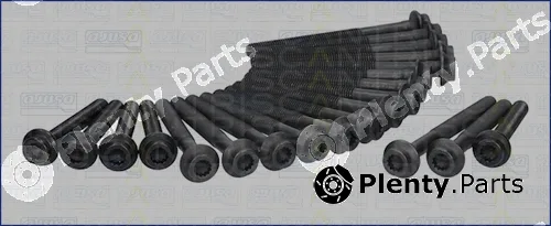 Triscan 98-4103 — Cylinder Head Bolt Set