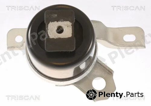 Triscan 850527104 — Mounting, engine