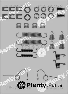 Triscan 8105252568 — Accessory Kit, brake shoes