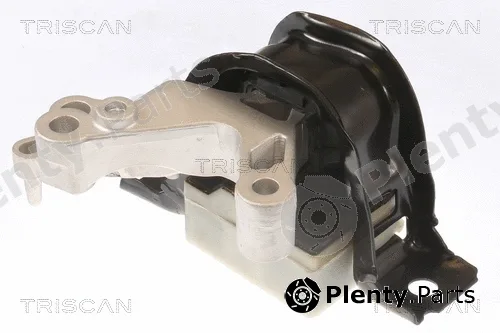 Triscan 850525124 — Mounting, engine