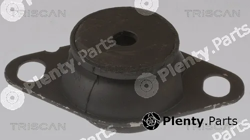 Triscan 850525127 — Mounting, engine