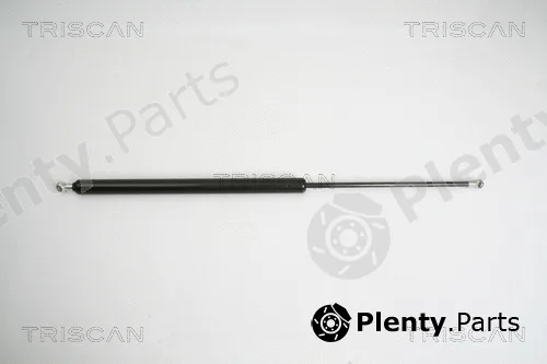 Triscan 871016245 — Gas Spring, boot/cargo area