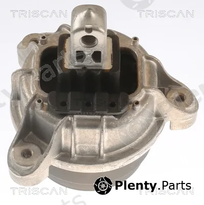 Triscan 850511118 — Mounting, engine