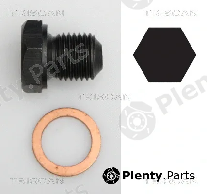 Triscan 95002902 — Screw Plug, oil sump