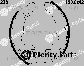 Triscan 810010228 — Brake Shoe Set