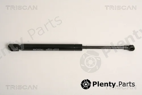 Triscan 871017213 — Gas Spring, boot/cargo area