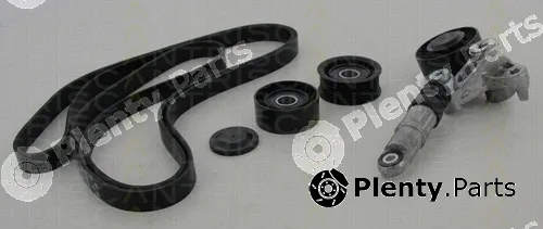 Triscan 864229019 — V-Ribbed Belt Set