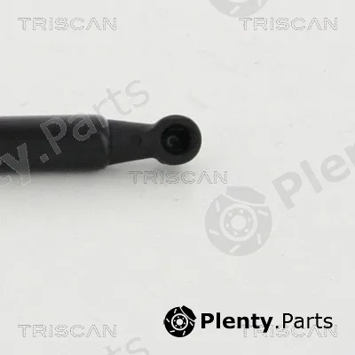 Triscan 8710292019 — Gas Spring, boot/cargo area