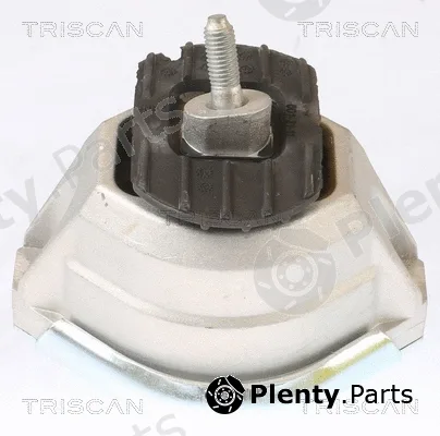 Triscan 850511115 — Mounting, engine