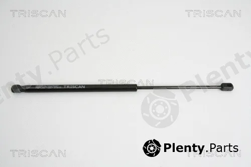 Triscan 871010206 — Gas Spring, boot/cargo area