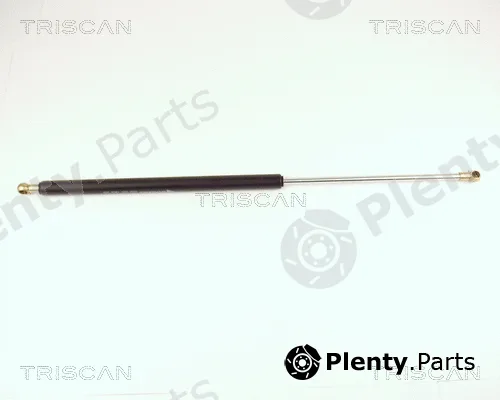 Triscan 871027205 — Gas Spring, boot/cargo area