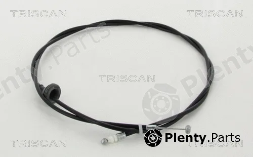 Triscan 814021601 — Bonnet Cable