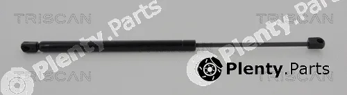 Triscan 871017218 — Gas Spring, boot/cargo area