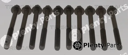 Triscan 98-1013 — Cylinder Head Bolt Set