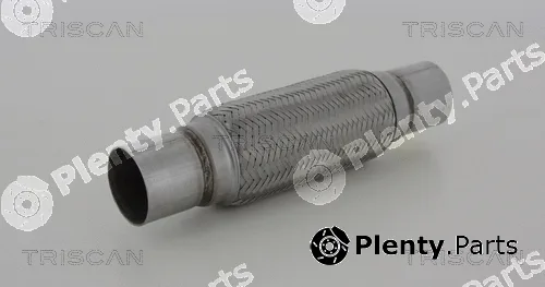 Triscan 700010021 — Flexible Pipe, exhaust system