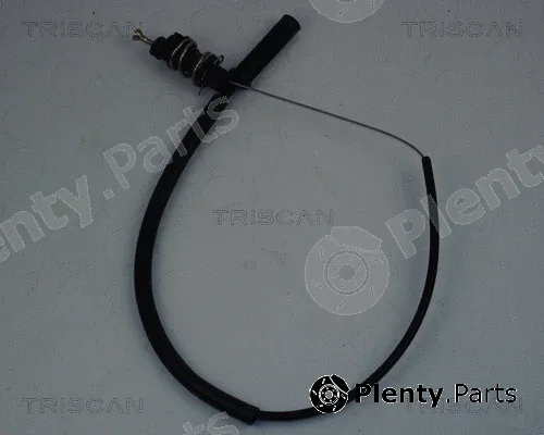 Triscan 814038305 — Accelerator Cable