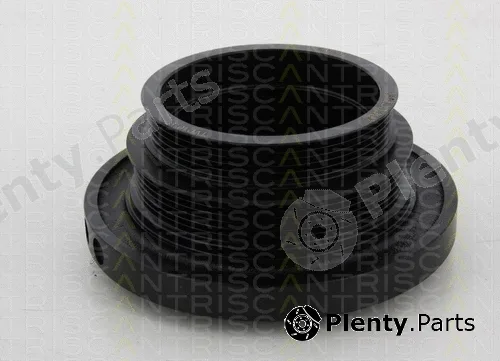 Triscan 864311001 — Belt Pulley, crankshaft