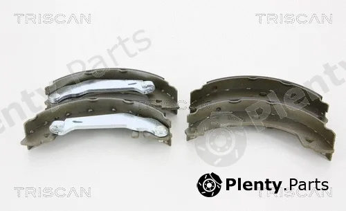 Triscan 810010008 — Brake Shoe Set