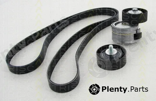 Triscan 864210014 — V-Ribbed Belt Set