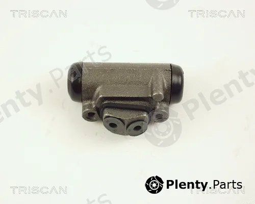 Triscan 813050017 — Wheel Brake Cylinder