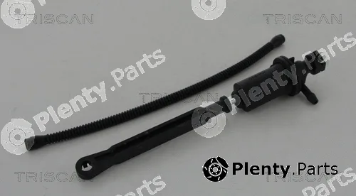 Triscan 813010209 — Master Cylinder, clutch