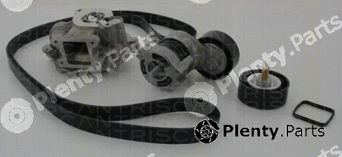 Triscan 8642110501 — Water Pump + V-Ribbed Belt Kit