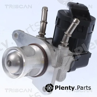 Triscan 881311001 — EGR Valve