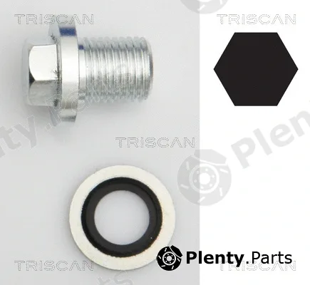 Triscan 95001008 — Screw Plug, oil sump