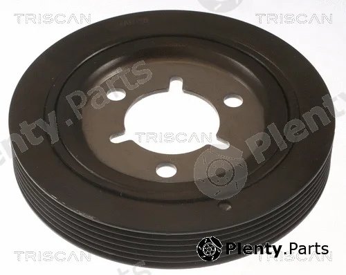 Triscan 864310022 — Belt Pulley, crankshaft