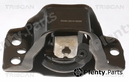 Triscan 850514100 — Mounting, engine