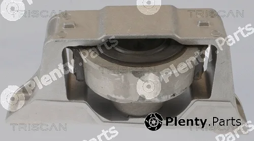Triscan 850516104 — Mounting, engine
