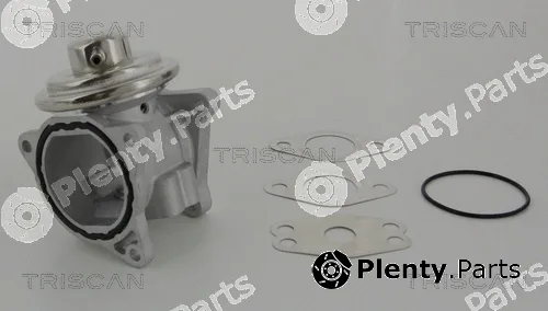 Triscan 881329111 — EGR Valve