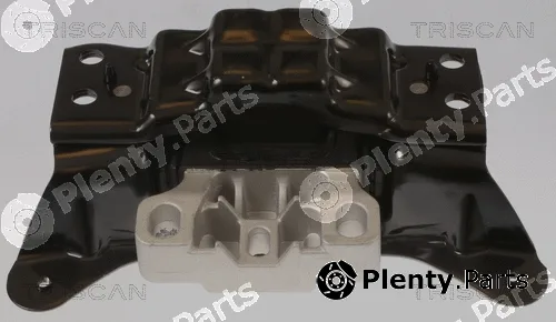 Triscan 850529194 — Mounting, engine