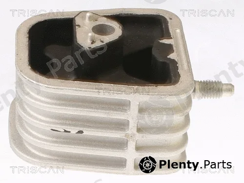 Triscan 850523105 — Mounting, engine
