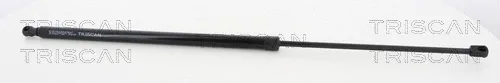 Triscan 871015243 — Gas Spring, boot/cargo area